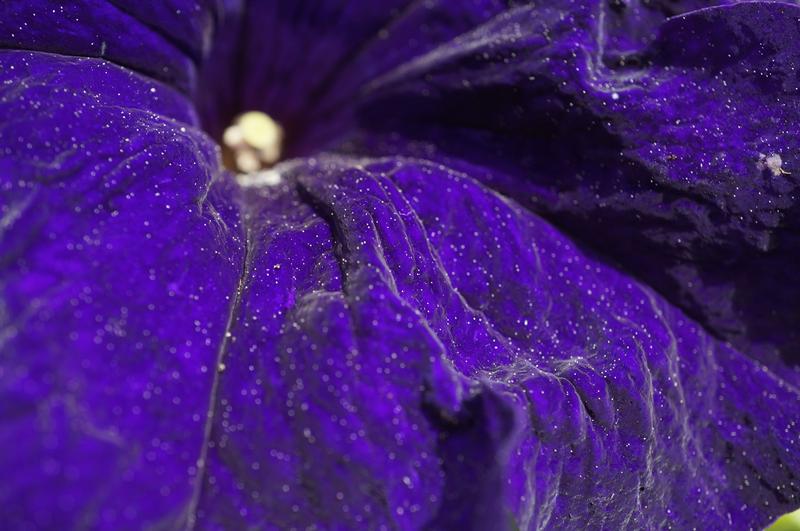 Cjp_2013_05_05_140041.JPG