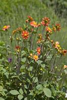 Cjp_2012_06_08_141552.jpg