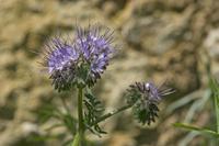 Cjp_2012_06_08_141938.jpg