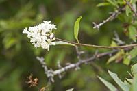 Cjp_2012_07_14_123354.jpg