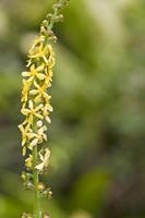 Cjp_2012_07_14_124106.jpg