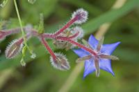 Cjp_2012_07_14_124146.jpg