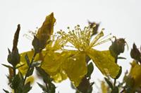 Cjp_2012_07_17_084320.jpg