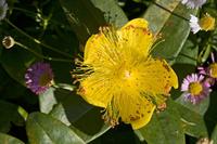 Cjp_2012_07_22_075946.jpg