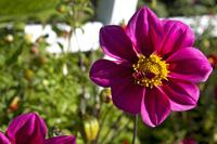 Cjp_2012_07_23_080508.jpg