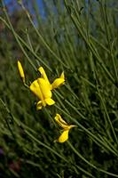 Cjp_2012_07_23_081134.jpg