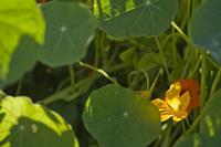 Cjp_2012_07_23_145156.jpg