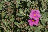Cjp_2012_07_23_150106.jpg