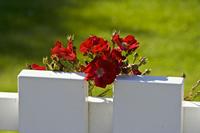 Cjp_2012_07_23_160250.jpg