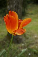 Cjp_2013_05_05_132952.JPG