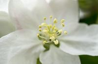 Cjp_2013_05_05_133048.jpg