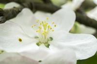 Cjp_2013_05_05_133109.jpg