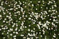 Cjp_2013_05_05_140722.JPG