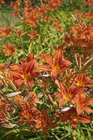 Cjp_2013_07_12_120803.jpg
