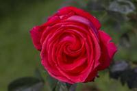 Cjp_2024_05_25_081521_1.jpg
