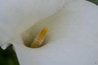 Cjp_2024_05_25_081807_1.jpg