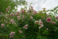 Cjp_2025_06_01_154724.jpg