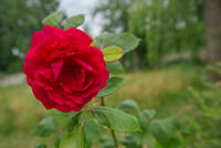 Cjp_2025_06_01_154854.jpg