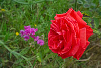 Cjp_2025_06_01_155004.jpg