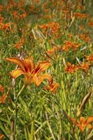 Cjp_2025_06_22_124056.jpg